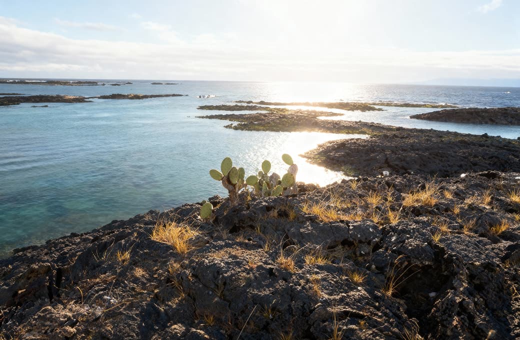 Фотоальбом круиза 7 н Галапагосские острова (северная петля). Фото 1