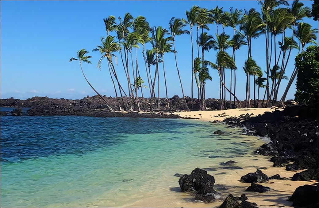 Фотоальбом круиза 25 н Лос-Анжелес - Брисбен. Фото 1