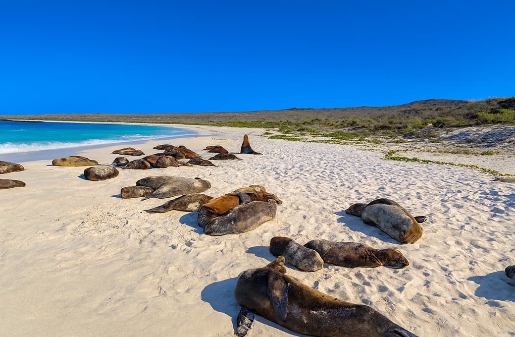 Фотоальбом круиза 7 н Галапагосские острова. Фото 1