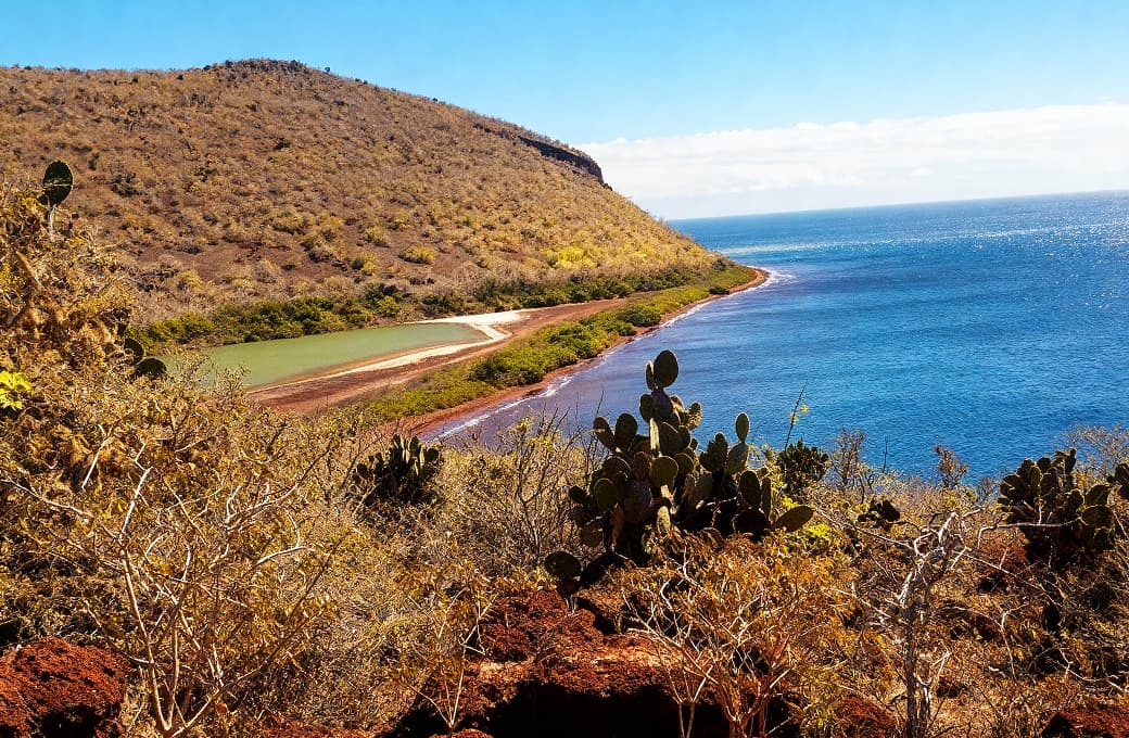 Фотоальбом круиза 7 н Галапагосские острова (северная петля). Фото 1