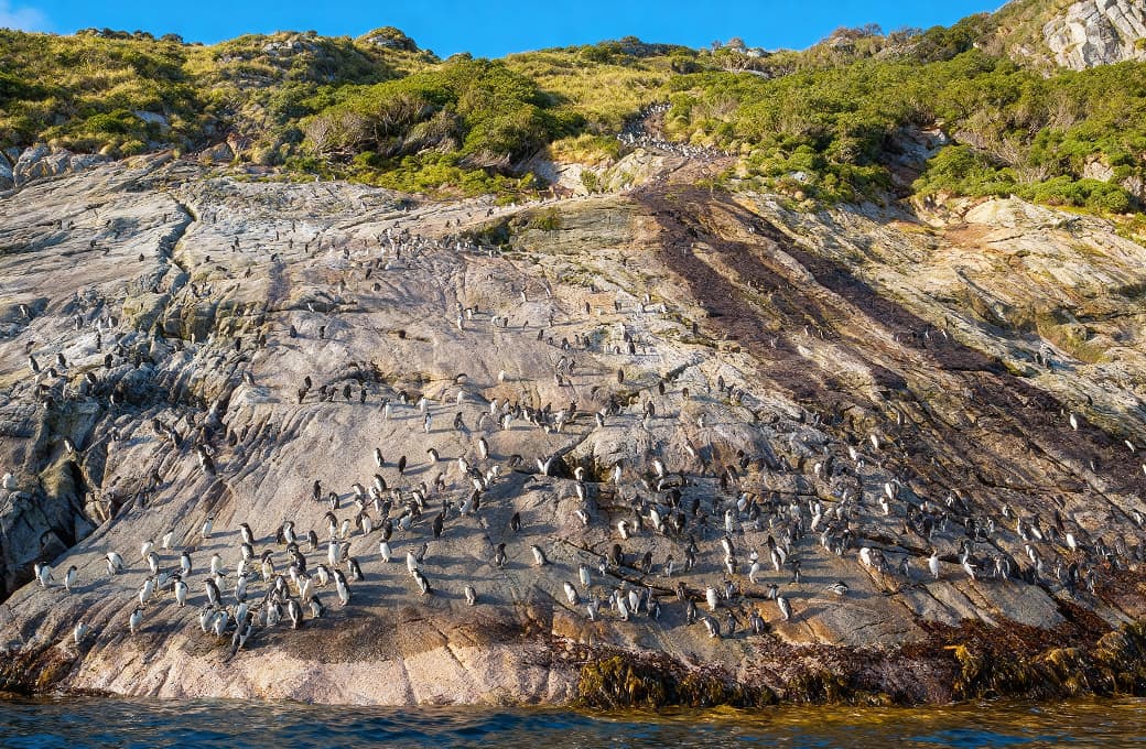 Фотоальбом круиза 13 н Западное Средиземноморье. Фото 1
