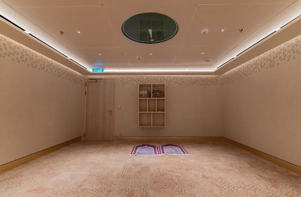 Лайнер Aroya, компании Aroya Cruises. Фото 1