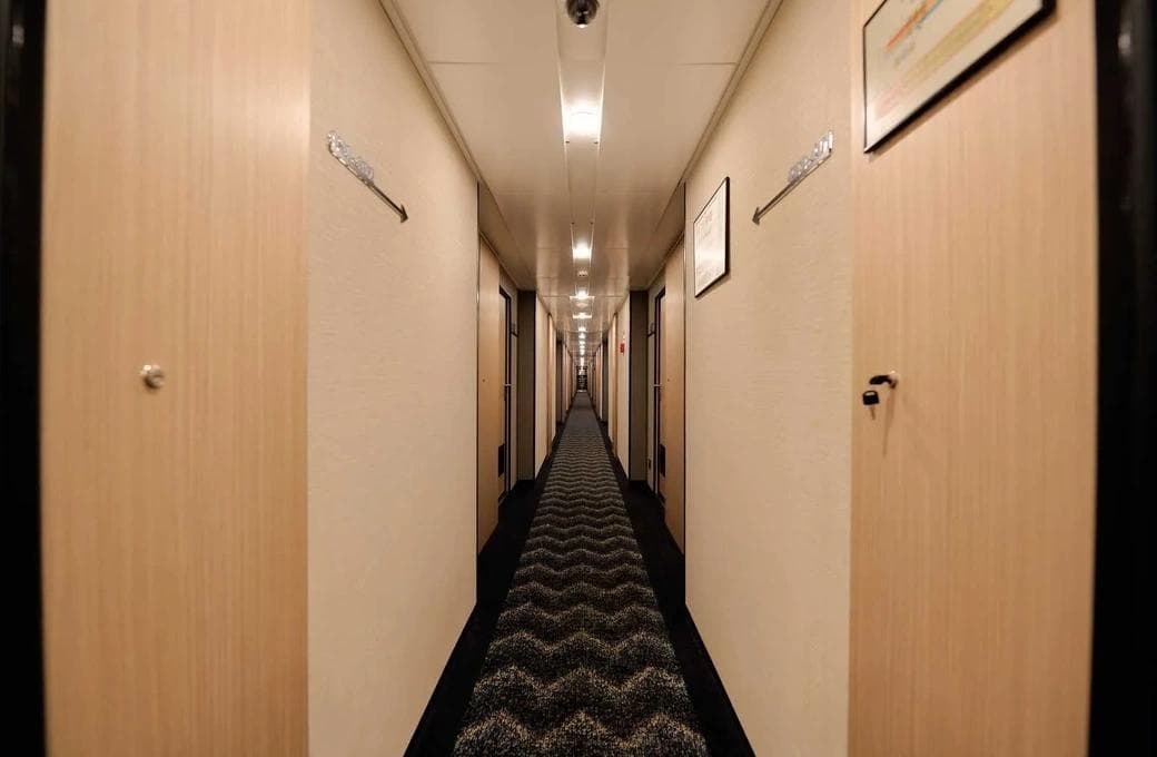 Лайнер Александра, компании Донинтурфлот. Фото 1